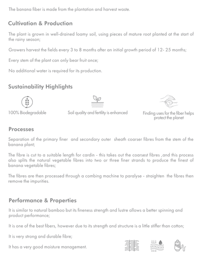 Banana Pineapple Drape Neckline Bodysuit in Ecru information on cultivation, sustainability, and properties of banana fiber.